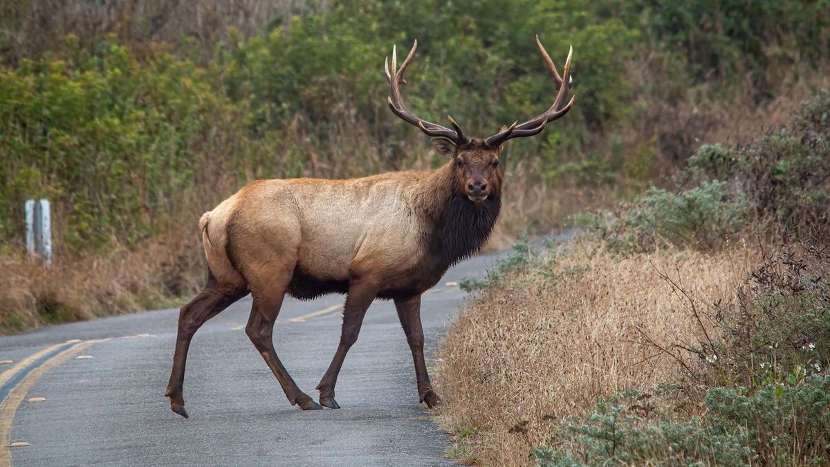 Gondoljon autója védelmére!